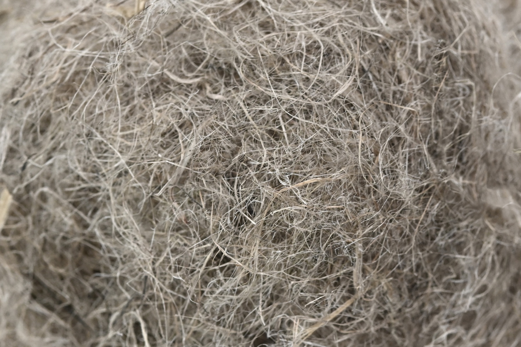 Bast Fiber