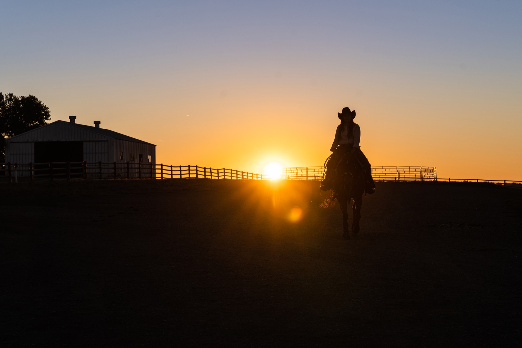 Equine Sunset