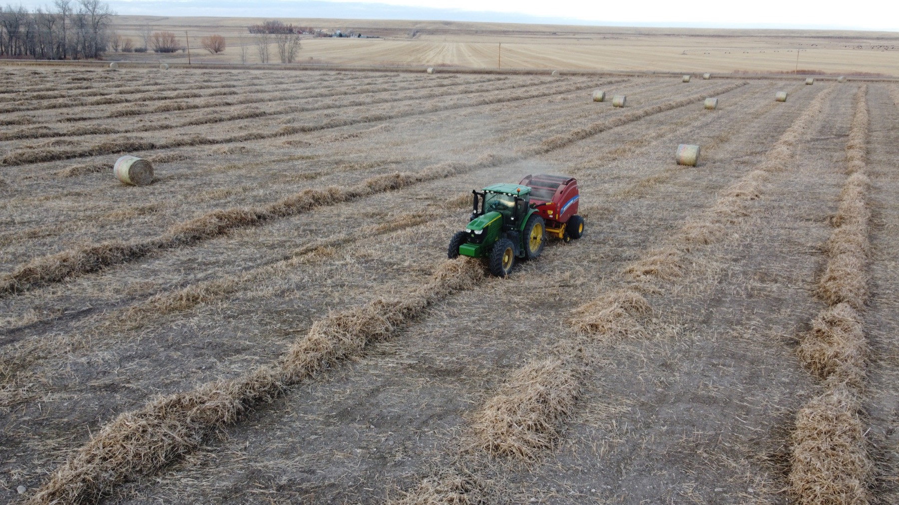 Fiber Harvest