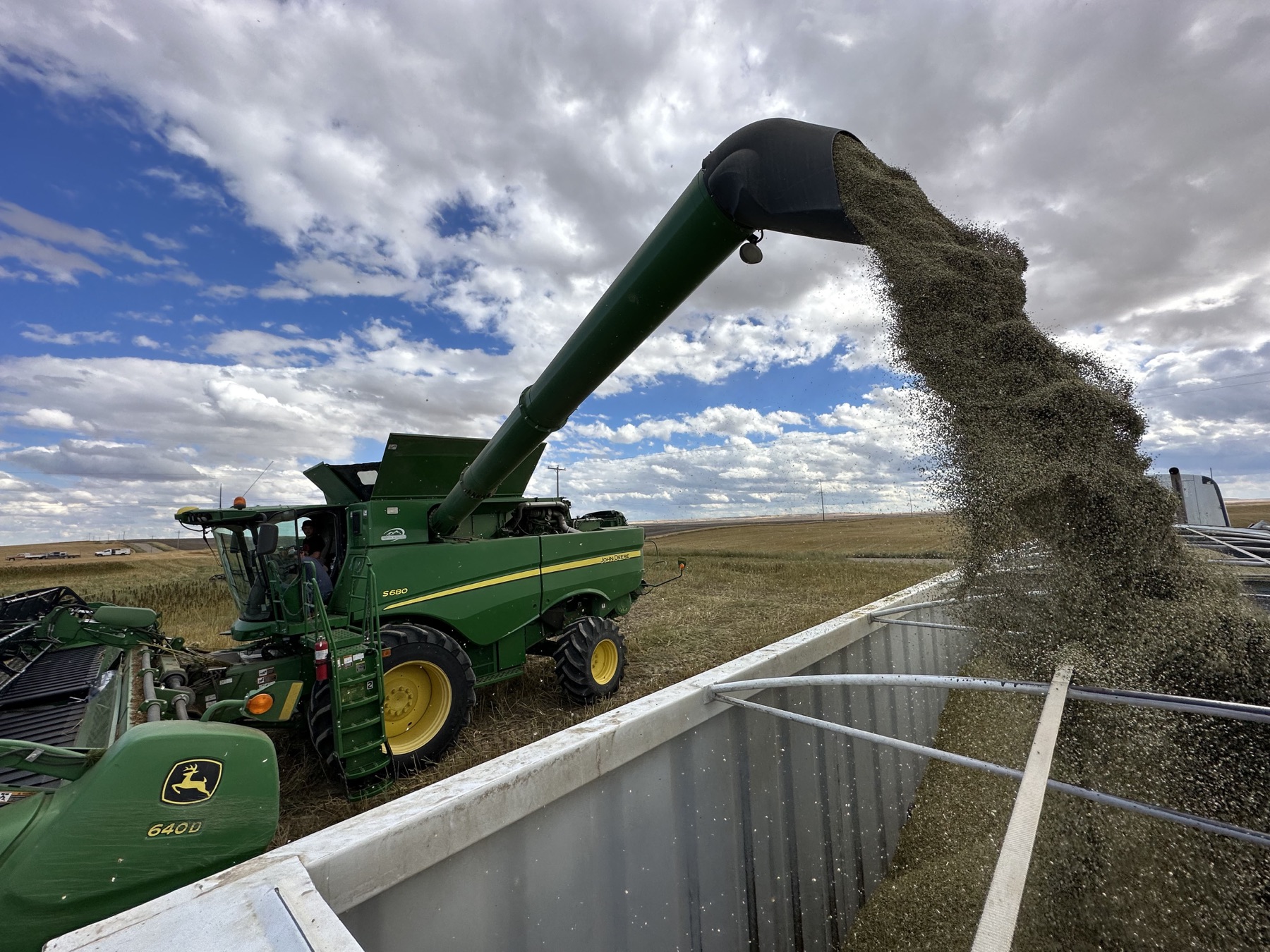 Grain Harvest