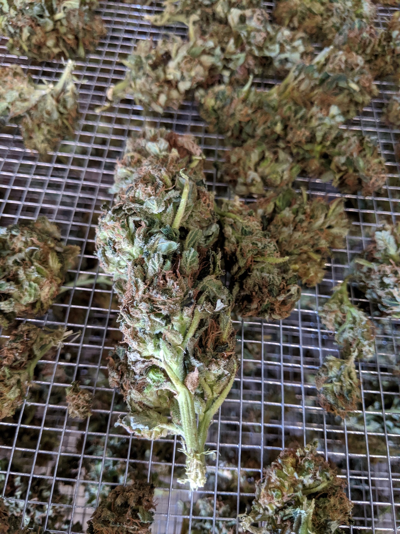 Floral Harvest